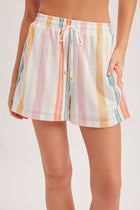 Multi Color Stripe Knit Shorts