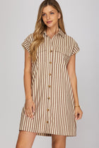 Striped Button Front Shirt Dress