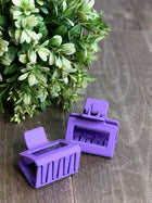 Mini Claw Clip - 5 Colors