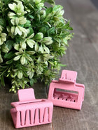 Mini Claw Clip - 5 Colors