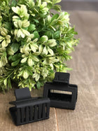 Mini Claw Clip - 5 Colors