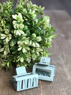 Mini Claw Clip - 5 Colors