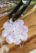 Spongelle Wild Flower - French Lavender