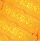 Wisconsin State Stuffed Plush
