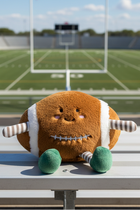Football Plush