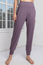 Butter Soft Side Pocket Joggers - Frosted Mulberry