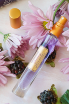 Blackberry Perfume - Spongelle 10ml