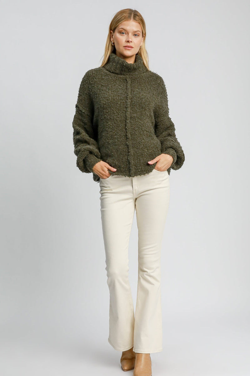 Turtleneck Pullover Sweater