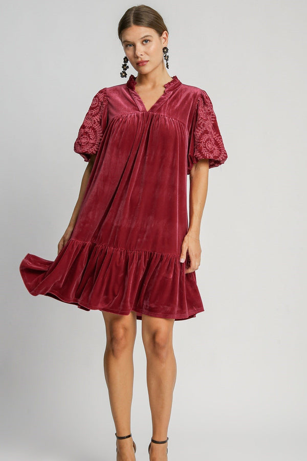 Velvet Embroidered Sleeve Dress