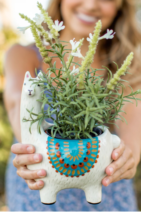 Llama Planter