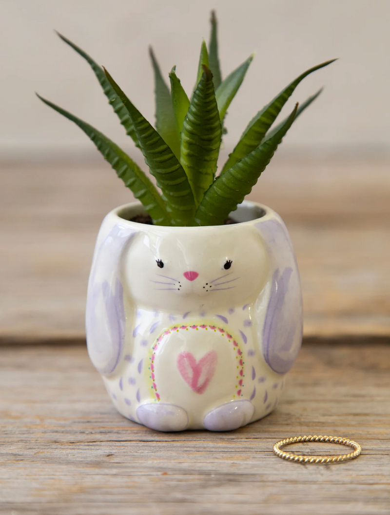 Critter Succulent - Bunny