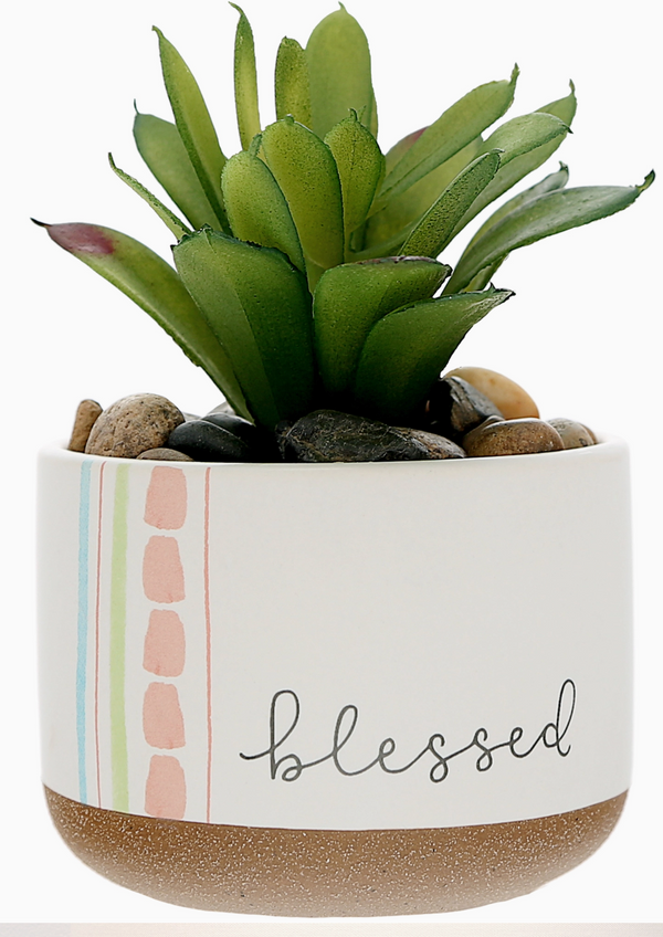 Potted Plant - Blessed
