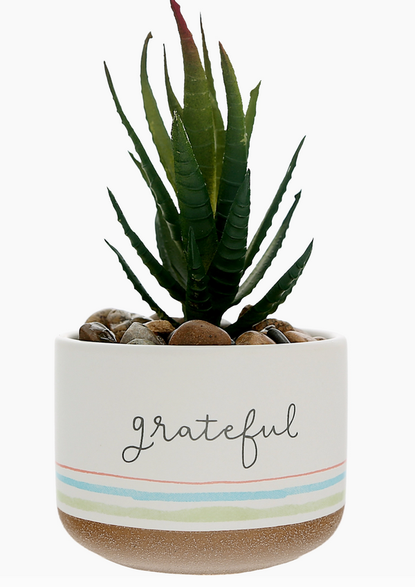 Potted Plant - Grateful