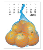 Linnea 2024 Poster Calendar
