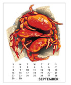 Linnea 2024 Desktop Calendar
