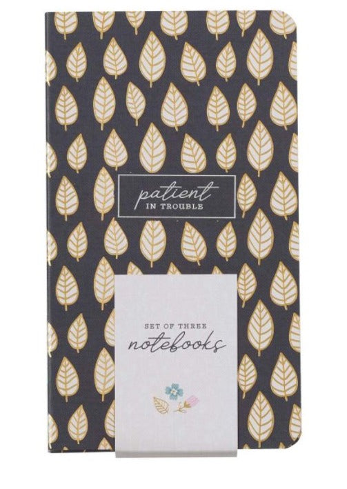 Joyful, Persistent, Patient Small Notebook Set