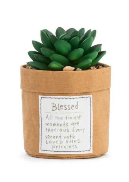 Succulent-Blessed